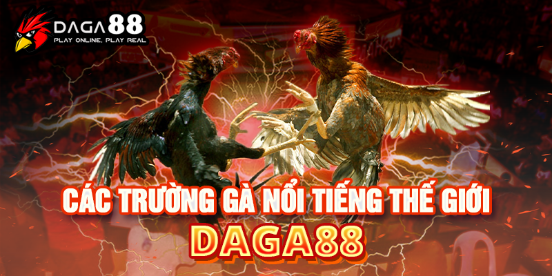 Luật chơi đá gà trực tiếp DAGA88
