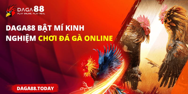 kinh nghiệm đá gà online