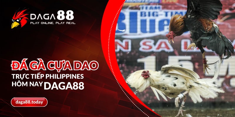 DAGA88 - Nơi xem đá gà trực tiếp ăn tiền uy tín