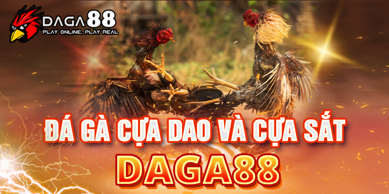 Lý do bạn nên chơi đá gà tại DAGA88