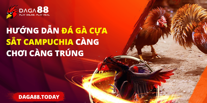 bí quyết chơi đá gà cựa sắt Campuchia