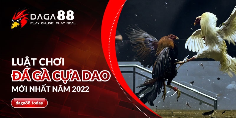 Luật chơi đá gà cựa dao DAGA88 mới nhất năm 2022