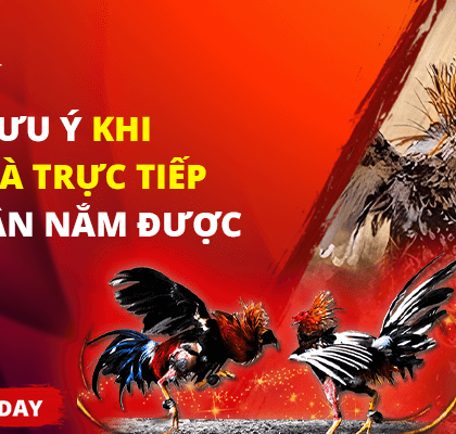 Một vài lưu ý khi chơi đá gà trực tiếp thomo cần nắm được