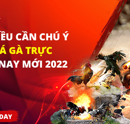 Những điều cần chú ý khi xem đá gà trực tiếp hôm nay