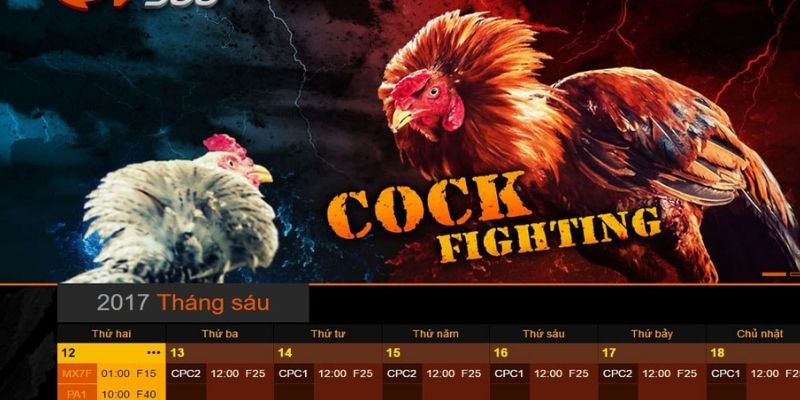 Các loại dao thường gặp về đá gà cựa dao