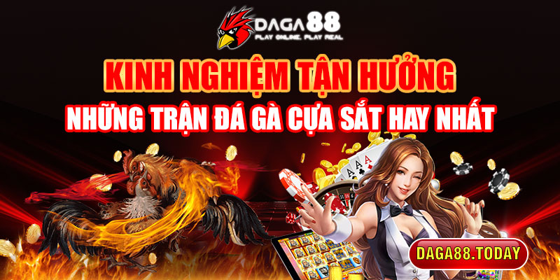 Kinh nghiệm tận hưởng những trận đá gà cựa sắt hay nhất