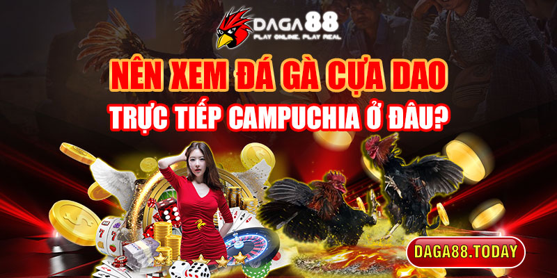 địa chỉ xem đá gà cựa dao trực tiếp Campuchia