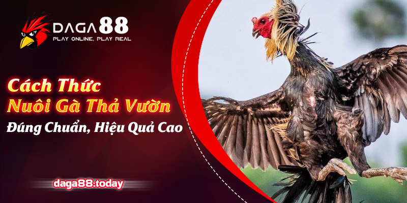 Cách Thức Nuôi Gà Thả Vườn Đúng Chuẩn, Hiệu Quả Cao
