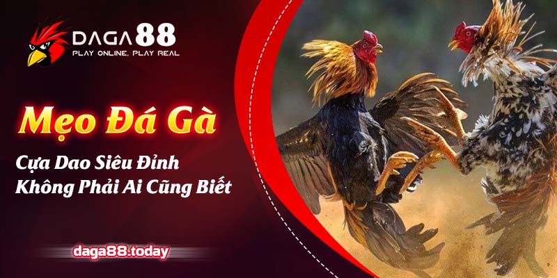 Mẹo Đá Gà Cựa Dao