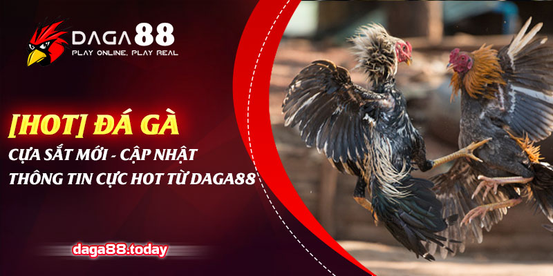 Đá Gà Cựa Sắt Mới - Cập Nhật Thông Tin Cực Hot Từ Dag88