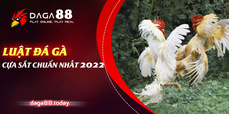 Luật Đá Gà Cựa Sắt Chuẩn Nhất 2022