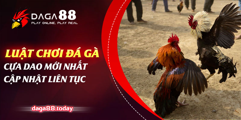 Luật Chơi Đá Gà Cựa Dao Mới Nhất Cập Nhật Liên Tục