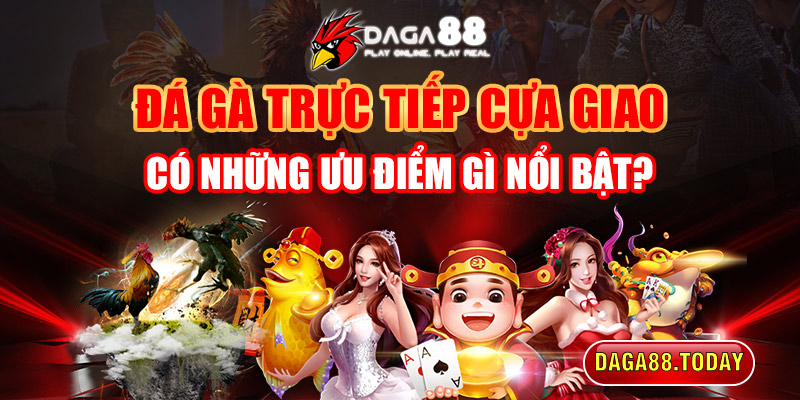 Đá Gà Trực Tiếp Cựa Giao Có Những Ưu Điểm Gì Nổi Bật?