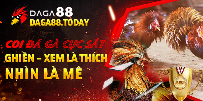 Coi Đá Gà Cựa Sắt Cực Ghiền - Xem Là Thích, Nhìn Là Mê