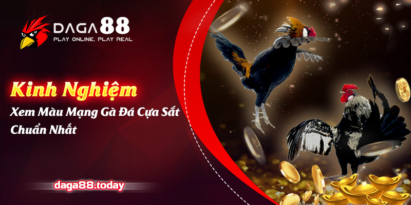 Kinh Nghiệm Xem Màu Mạng Gà Đá Cựa Sắt Chuẩn