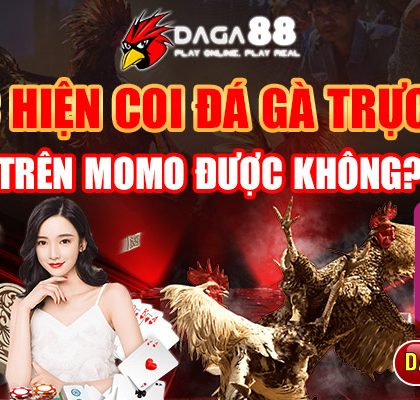 Thực Hiện Coi Đá Gà Trực Tiếp Trên Momo Được Không?
