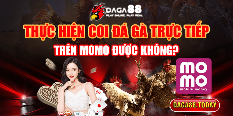 Thực Hiện Coi Đá Gà Trực Tiếp Trên Momo Được Không?
