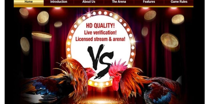 Đá gà casino online