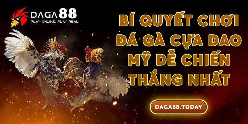 Bí quyết chơi đá gà cựa dao Mỹ dễ chiến thắng nhất
