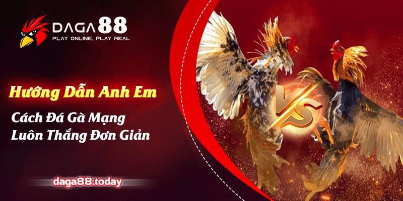 Cách Đá Gà Mạng Luôn Thắng Đơn Giản