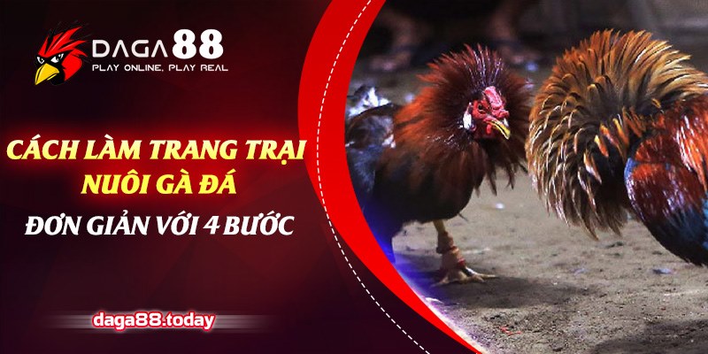 Cách làm trang trại nuôi gà đá