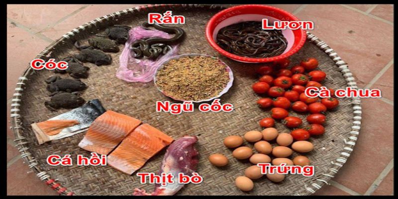 Thức ăn nuôi gà đá cựa sắt