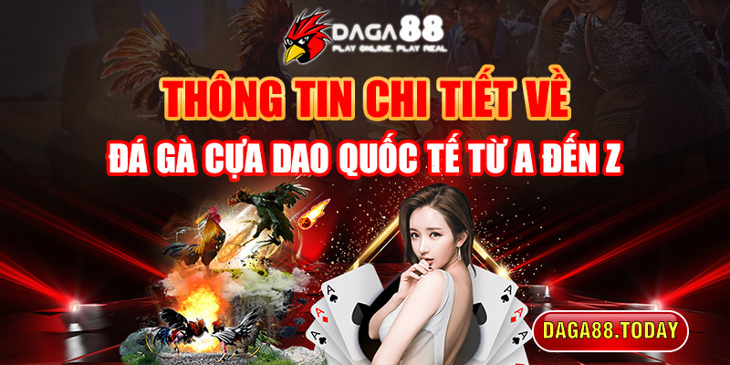 Thông tin chi tiết về đá gà cựa dao quốc tế từ A đến Z