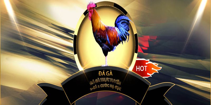 Xem đá gà cựa dao Sv388
