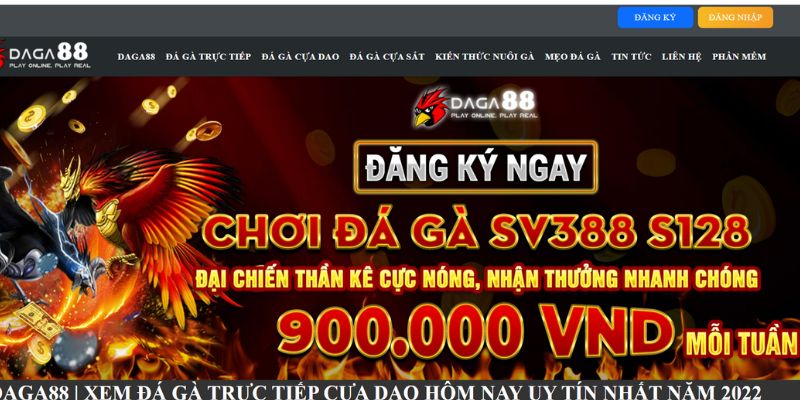 Chọn đăng ký Daga88 để xem đá gà cựa dao