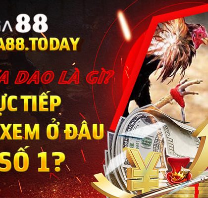 đá gà trực tiếp cựa dao