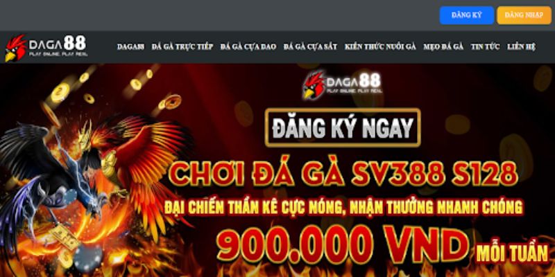 Địa chỉ xem đá gà trực tiếp hôm nay Thomo