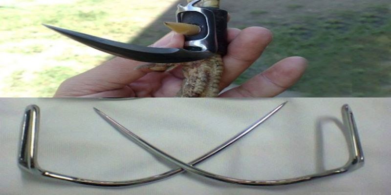 Các hình thức đá gà trực tiếp