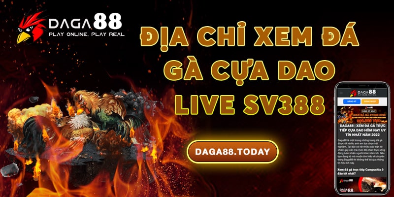 Địa chỉ xem đá gà cựa dao live Sv388 - website Daga88