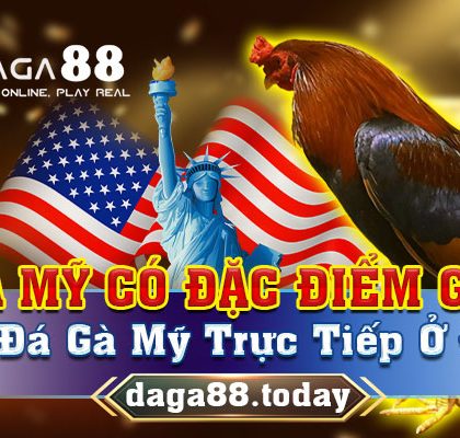 Xem đá gà Mỹ trực tiếp
