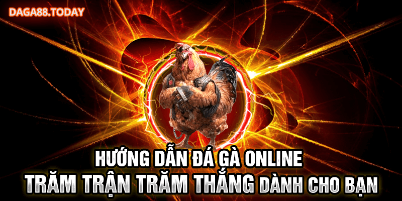 Hướng Dẫn Đá Gà Online Trăm Trận Trăm Thắng Dành Cho Bạn