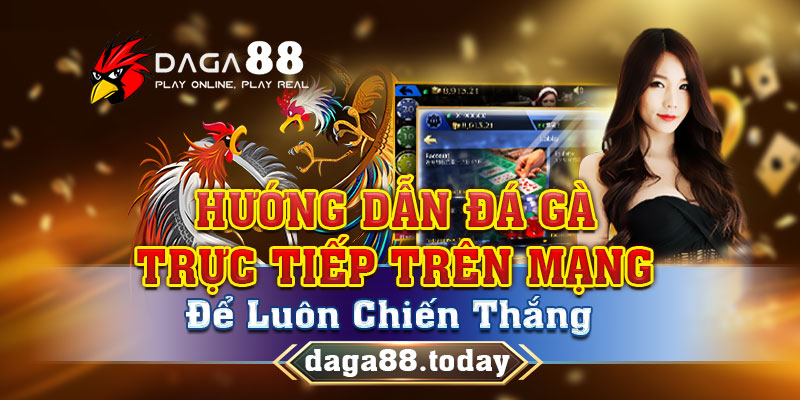Hướng dẫn đá gà trực tiếp trên mạng
