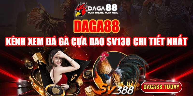 Daga88 - kênh xem đá gà cựa dao Sv138 chi tiết nhất