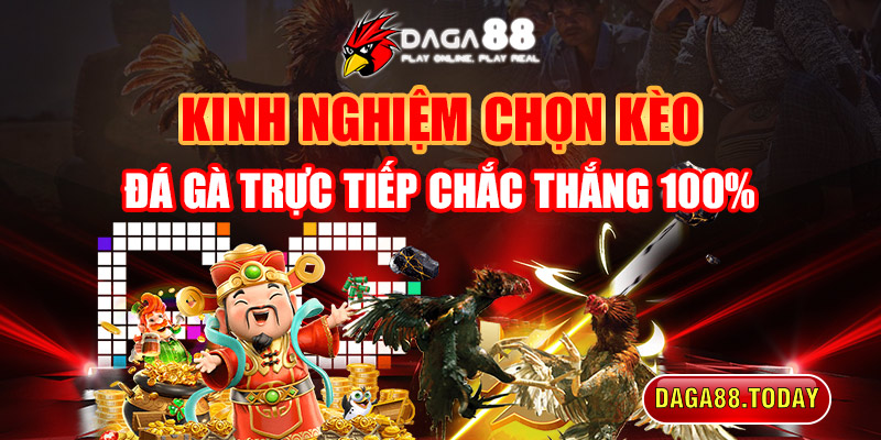 1. Kinh Nghiệm Chọn Kèo Đá Gà Trực Tiếp Chắc Thắng 100%