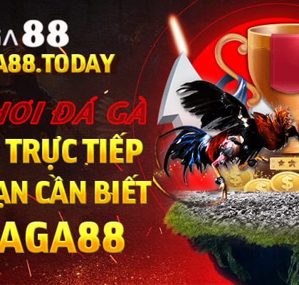 Luật Chơi Đá Gà Cựa Dao Trực Tiếp Cơ Bản Bạn Cần Biết Tại DAGA88