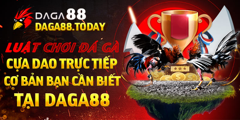 Luật Chơi Đá Gà Cựa Dao Trực Tiếp Cơ Bản Bạn Cần Biết Tại DAGA88
