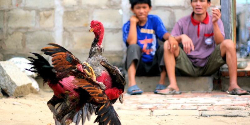 Luật phân định thắng bại