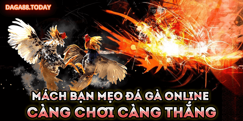 mách bạn mẹo đá gà online dễ thắng