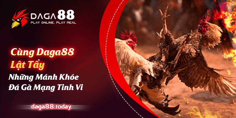 Cùng Daga88 Lật Tẩy Những Mánh Khóe Đá Gà Mạng Tinh Vi