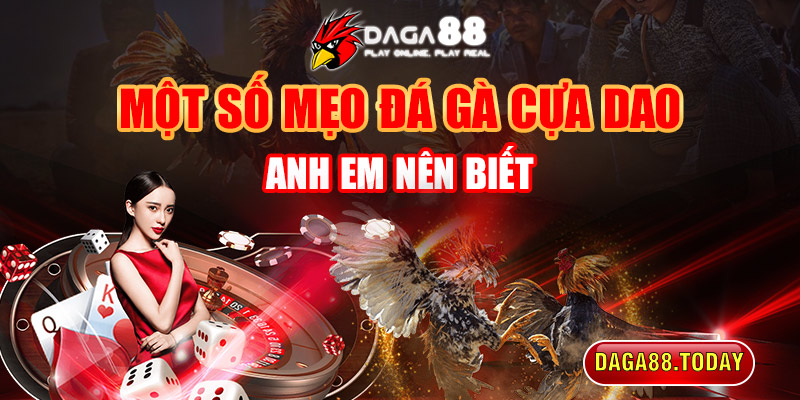 Một số mẹo đá gà cựa dao anh em nên biết