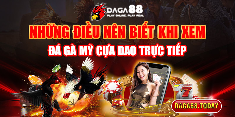 Những điều nên biết khi xem đá gà Mỹ cựa dao trực tiếp