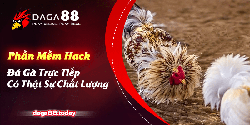 Phần Mềm Hack Đá Gà Trực Tiếp Có Thật Sự Chất Lượng