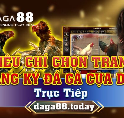 tieu chi chon trang dang ky da ga cua dao truc tiep 16/05/2025