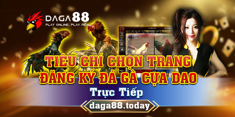 tieu chi chon trang dang ky da ga cua dao truc tiep 16/05/2025
