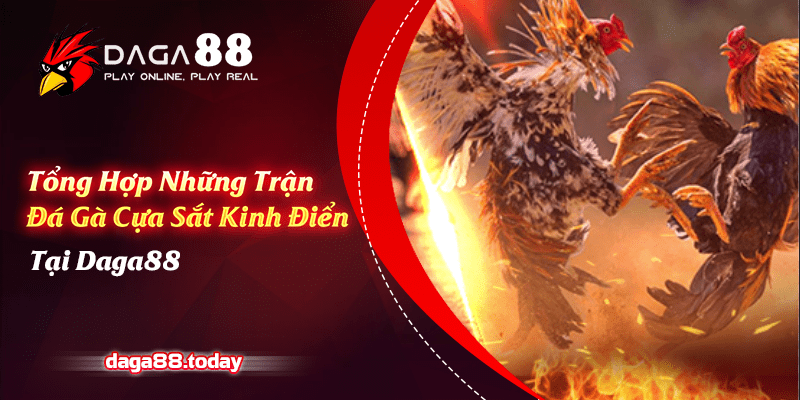 những trận đá gà cựa sắt kinh điển