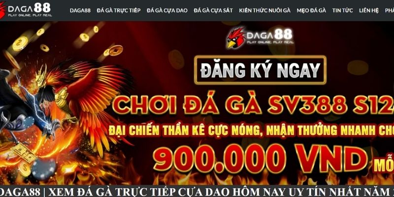 Website xem trực tiếp đá gà cựa dao Philippines hôm nay